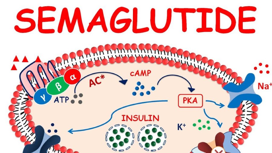 Semaglutide Meal Plan